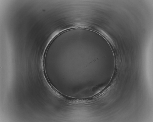 X0000116051291200911271210