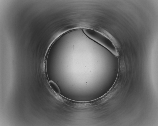 X0000116051292200911271210