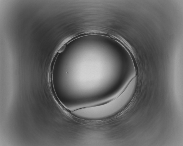 X0000116051293200911271210
