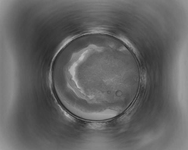 X0000116051294200911271210