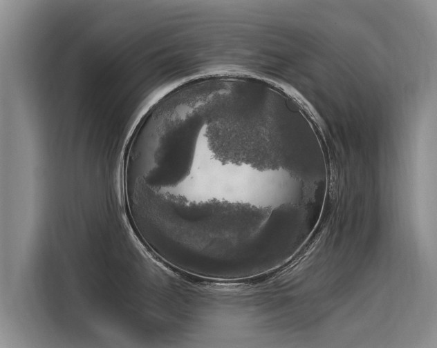 X0000116051295200911271210