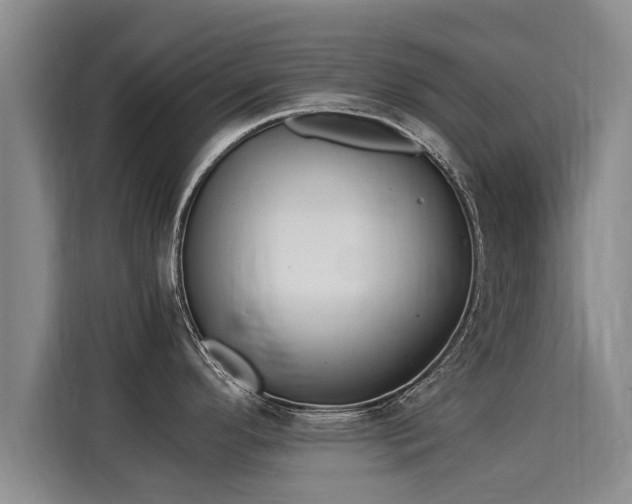X0000116051296200911271210