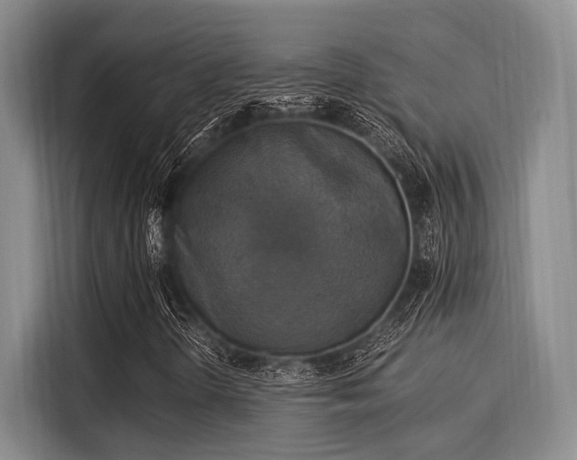 X0000116051298200911271210