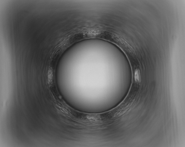 X0000116051299200911271210