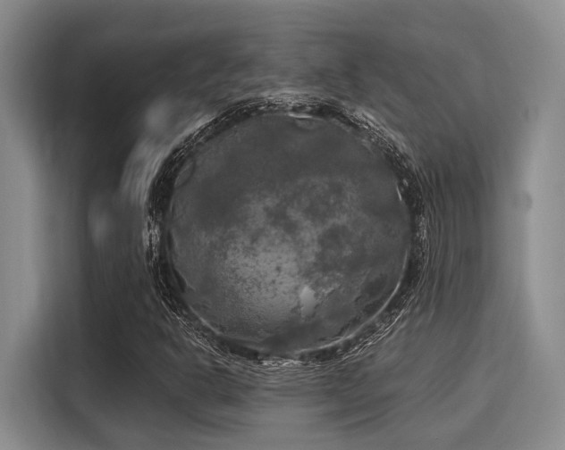 X0000116051302200911271210