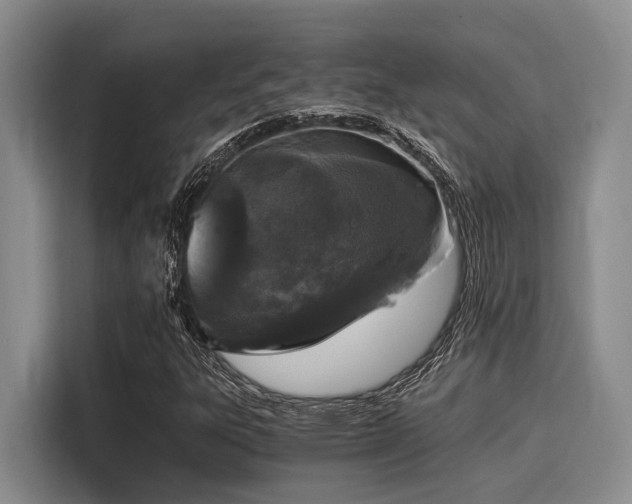 X0000116051303200911271210