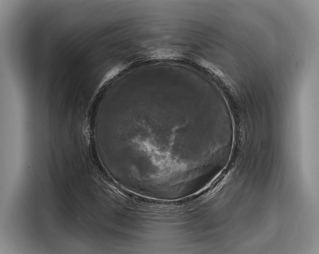 X0000116051306200911271210