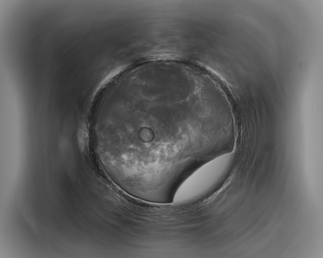 X0000116051309200911271210
