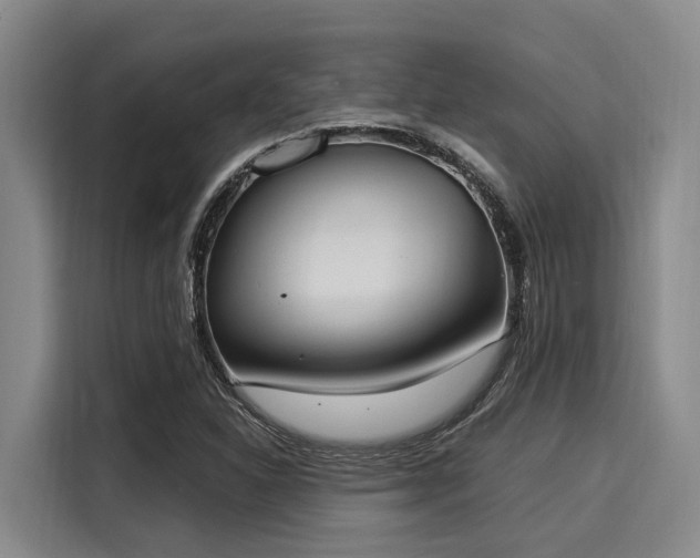 X0000116051310200911271210