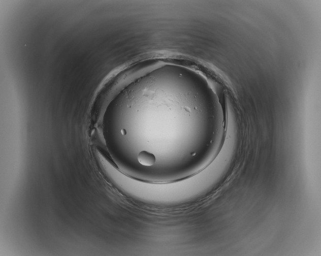 X0000116051314200911271210