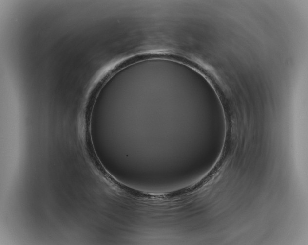 X0000116051319200911271210