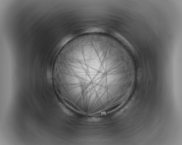 X0000116051321200911271210