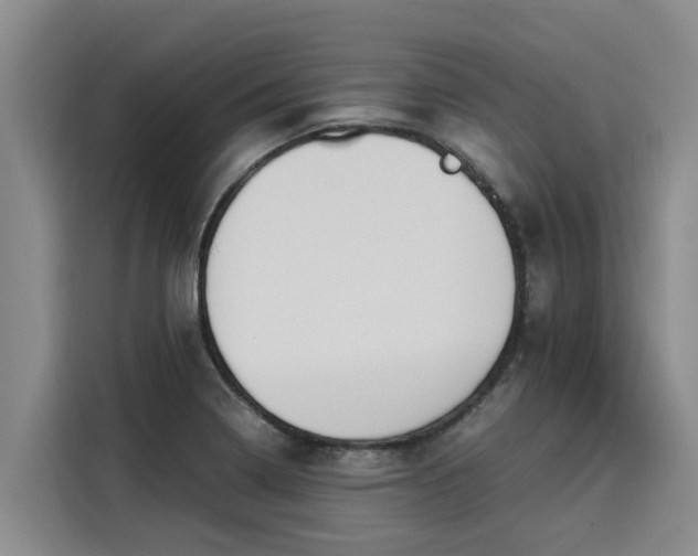 X0000116051322200911271210