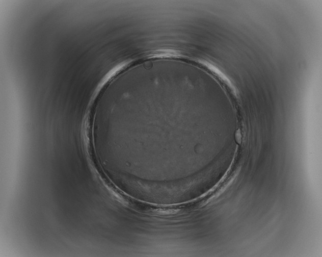X0000116051325200911271210