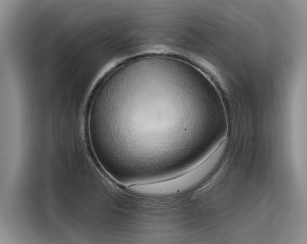 X0000116051326200911271210