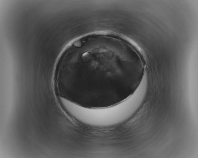 X0000116051327200911271210