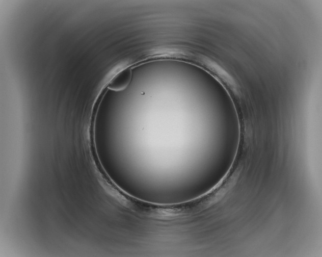 X0000116051330200911271210