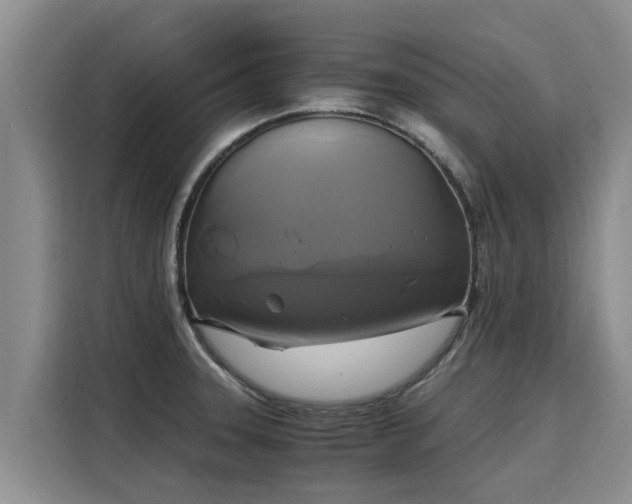 X0000116051331200911271210