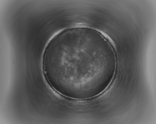 X0000116051333200911271210
