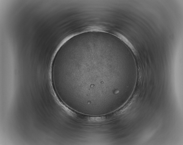X0000116051339200911271210