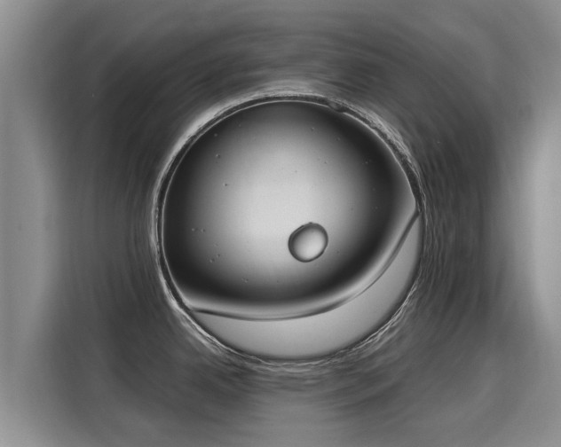 X0000116051342200911271210