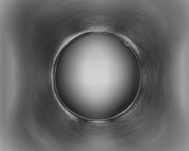 X0000116051343200911271210