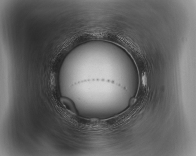 X0000116051347200911271210