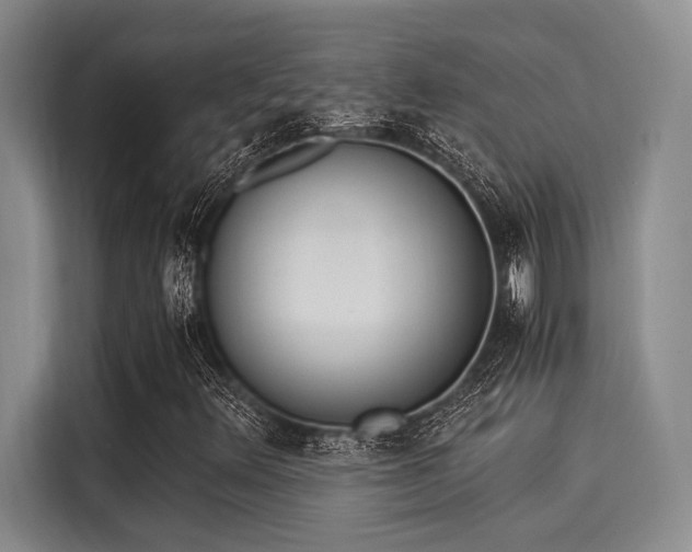 X0000116051348200911271210