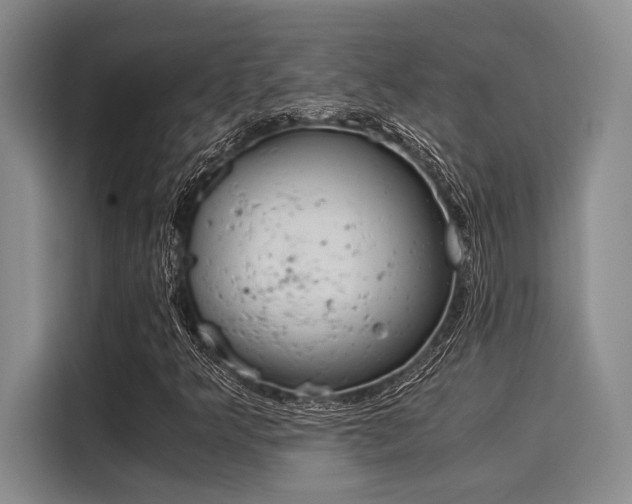 X0000116051349200911271210