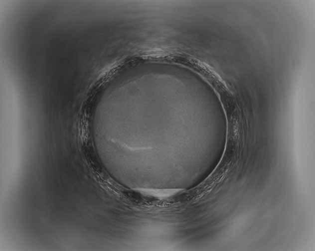 X0000116051350200911271210