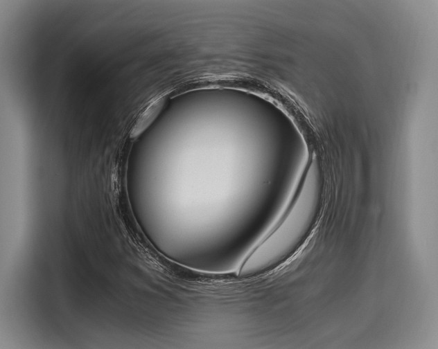 X0000116051353200911271210