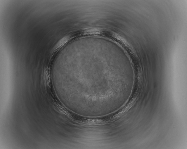 X0000116051354200911271210