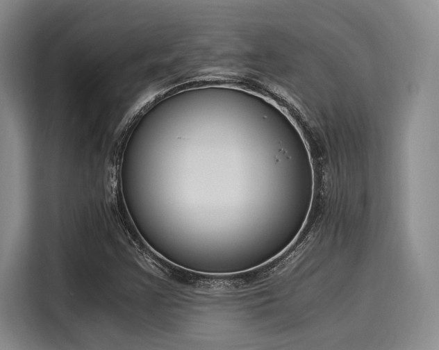 X0000116051355200911271210