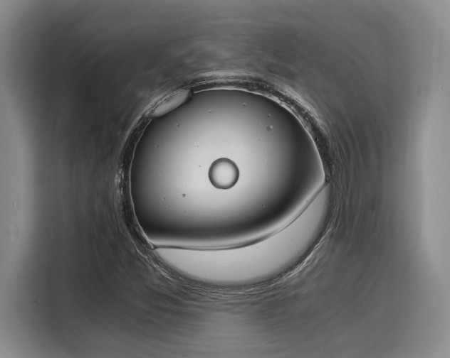 X0000116051357200911271210