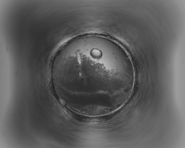 X0000116051359200911271210