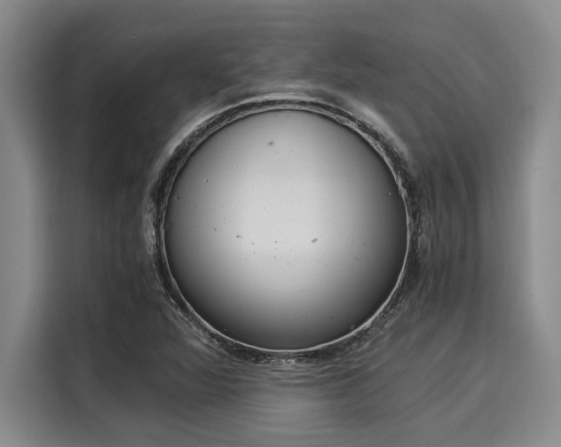 X0000116051360200911271210