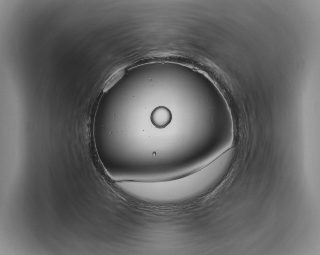 X0000116051361200911271210