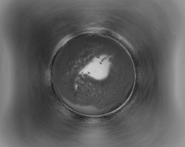 X0000116051362200911271210