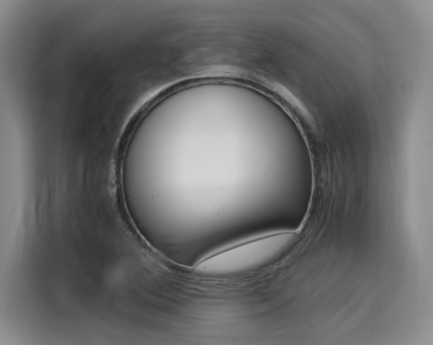 X0000116051364200911271209