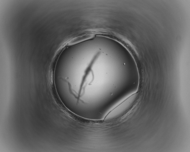 X0000116051365200911271209
