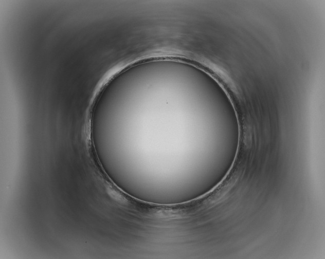 X0000116051366200911271209