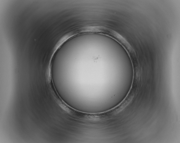 X0000116051370200911271209