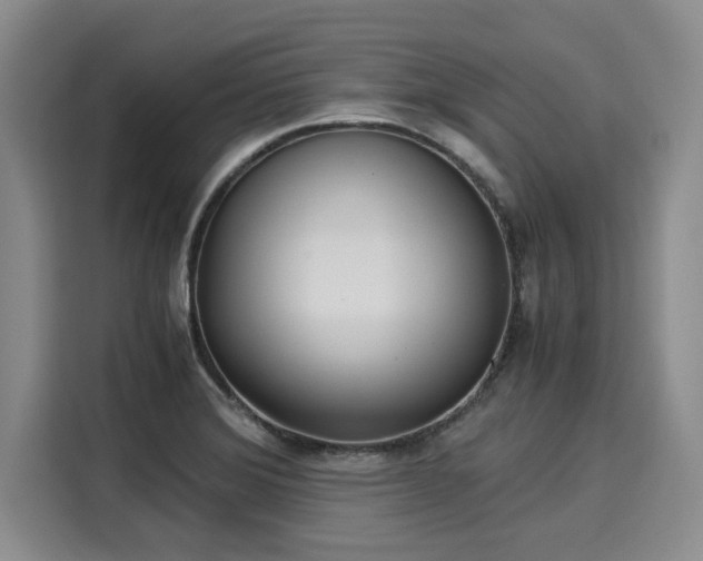X0000116051372200911271209
