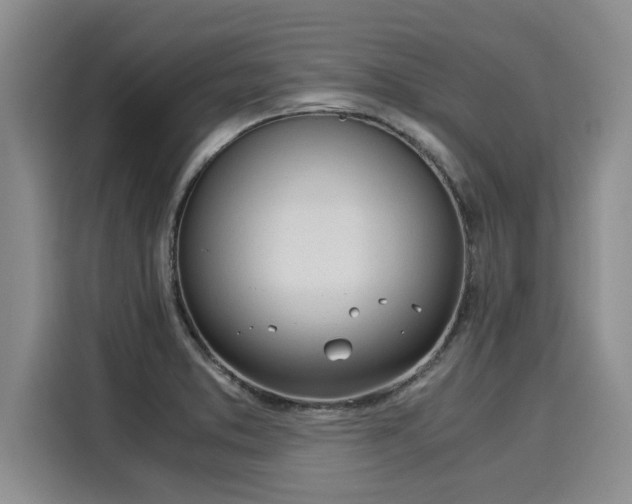 X0000116051373200911271209