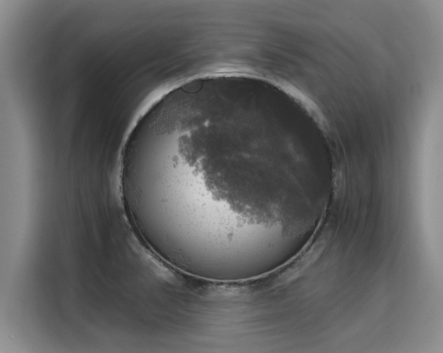 X0000116051374200911271209