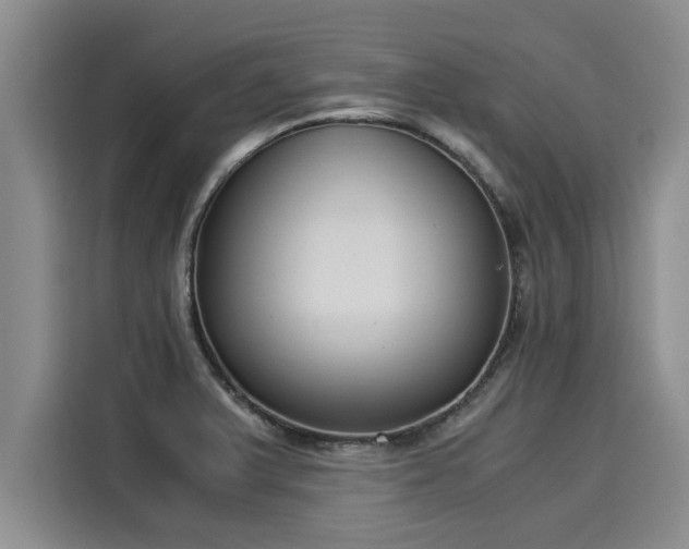 X0000116051375200911271209