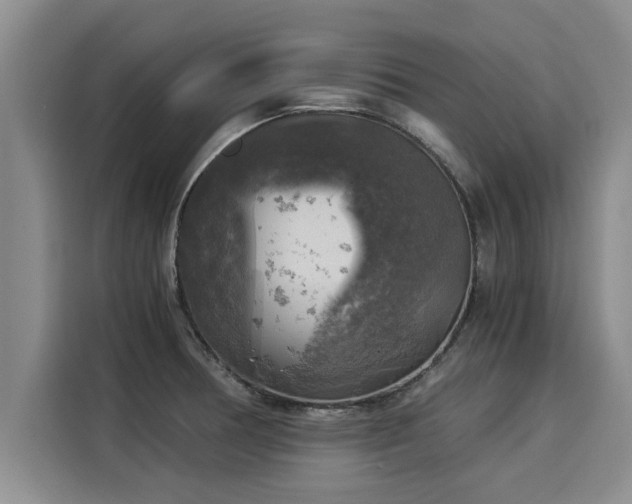 X0000116051378200911271209