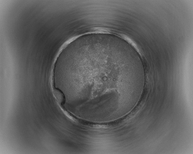 X0000116051379200911271209