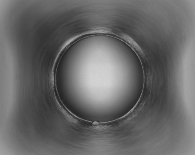 X0000116051380200911271209