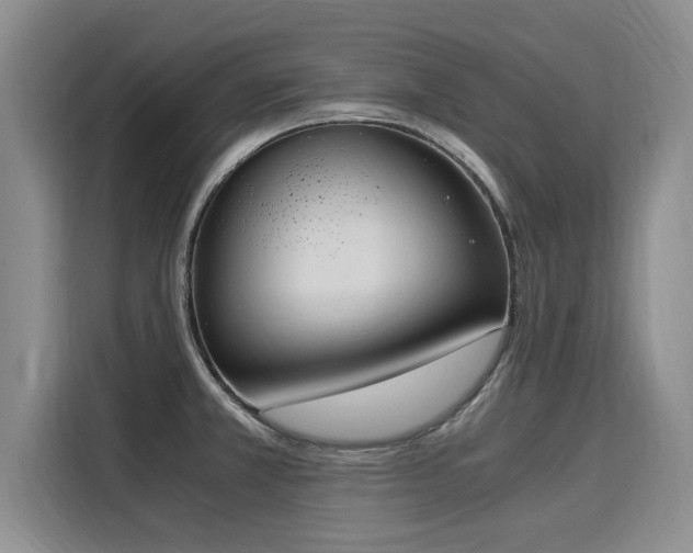 X0000116051381200911271209